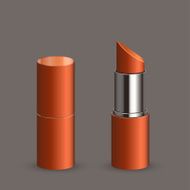 Vector modern lipstick set N5