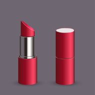 Vector modern lipstick set N6