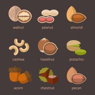 Nuts icon flat set
