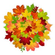 red yellow orange green autumn leaf background