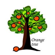 vector orange tree