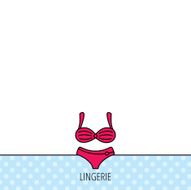 Lingerie icon Women underwear sign N12