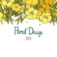 Floral Border N9