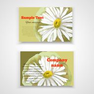Business Card Templates decorated with watercolor flowers chamomile