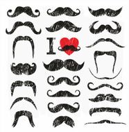 Moustaches set N10