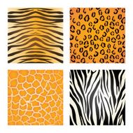 Animal print design N9