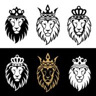 lion2