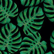 Seamless tropical pattern with monstera leaves