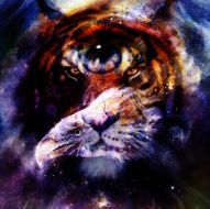 eagle with woman eye on abstract background and Yin Yang N6