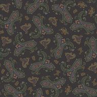 Paisley illustration pattern N42