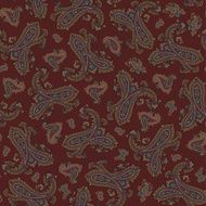 Paisley illustration pattern N44