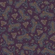 Paisley illustration pattern N45