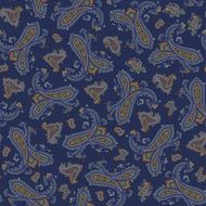 Paisley illustration pattern N46