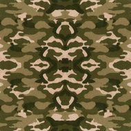 Military Camouflage N2