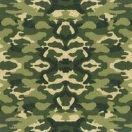 Military Camouflage N5