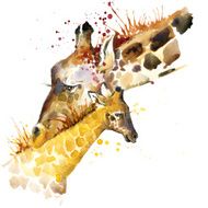 giraffe family illustration with splash watercolor textured background N2