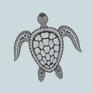 Zentangle stylized turtle Hand Drawn aquatic doodle vector illu N2