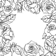 Vector line rose square frame