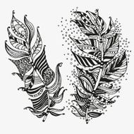 Vector set of feathers on a white background