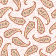 Paisley illustration pattern N47