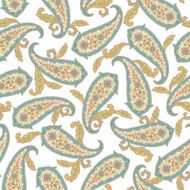 Paisley illustration pattern N48