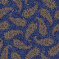 Paisley illustration pattern N51