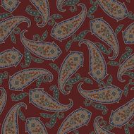 Paisley illustration pattern N52