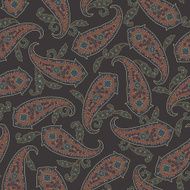 Paisley illustration pattern N53