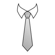 Business Tie N5