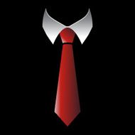 Business Tie N7