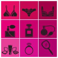 Set of fashion computer icons N2