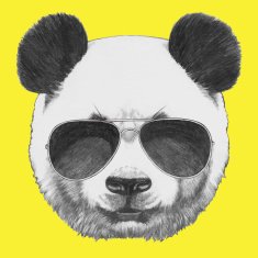 Portrait of Panda with sunglasses