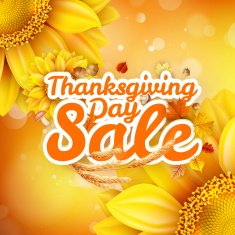 Thanksgiving Day sale EPS 10 N20