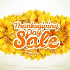 Thanksgiving Day sale EPS 10 N26