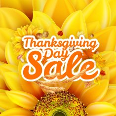 Thanksgiving Day sale EPS 10 N28