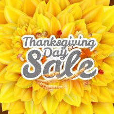 Thanksgiving Day sale EPS 10 N29