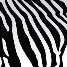 Zebra Pattern N4