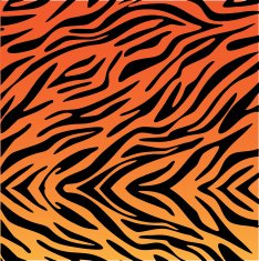 Tiger Pattern