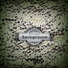 Camouflage military pattern background Vector illustration EPS10 N5