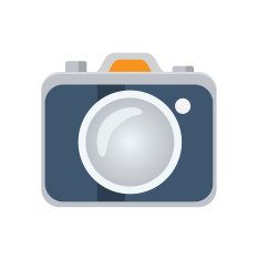 Photo camera flat icon vector logo N2