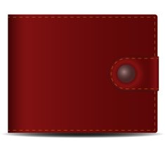 Brown leather men's purse with a metal button