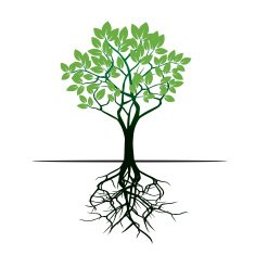 Green Tree and Roots Vector Illustration N2