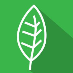 Line Leaf Flat Icon