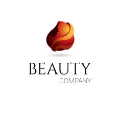 Beauty company logo Vector