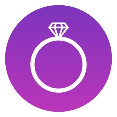 Diamond wedding ring vector icon modern minimal flat design style N3