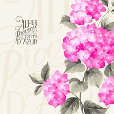 Purple flower hydrangea N3