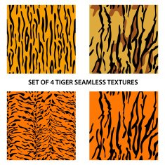 Set of four tiger seamless textures