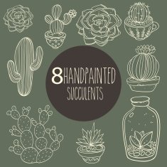 Vintage succulents and cactus vector plant elements handpainted sketch