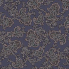 Paisley pattern N58