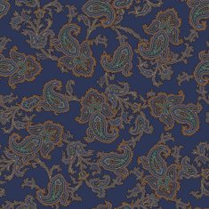 Paisley illustration pattern N36